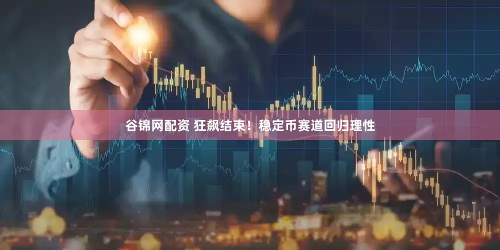 谷锦网配资 狂飙结束！稳定币赛道回归理性